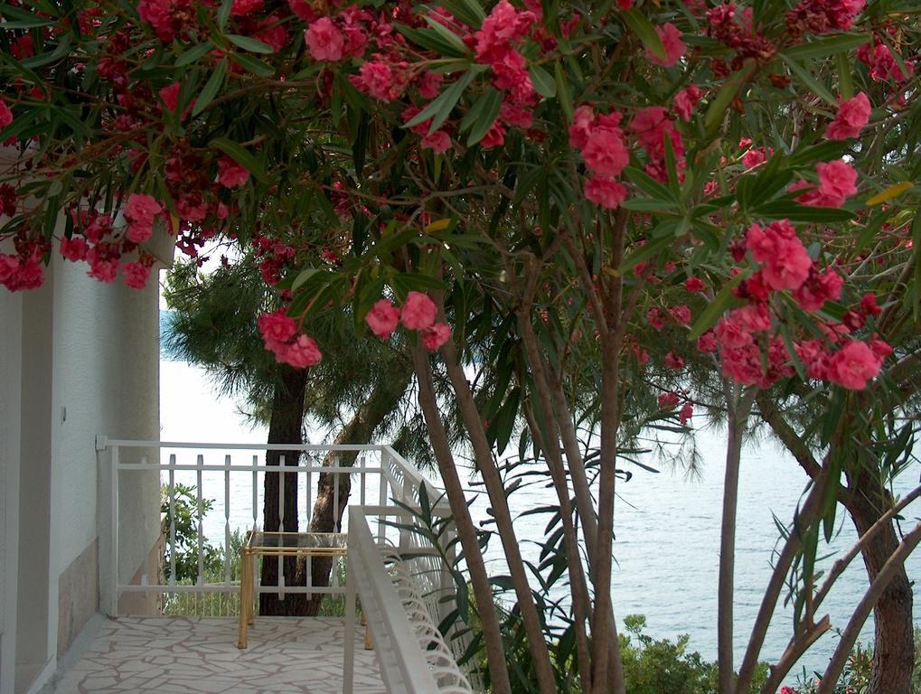 Villa Blanka Donji Okrug  Camera foto