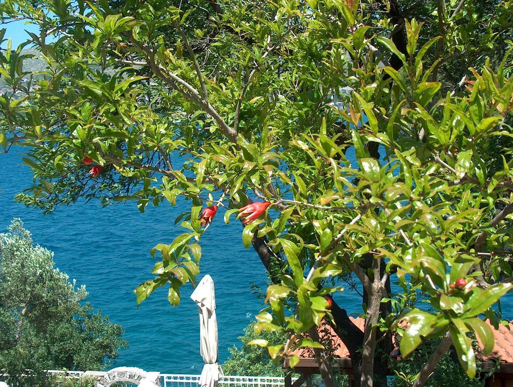 Villa Blanka Donji Okrug  Esterno foto